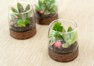 1375795169_content_terrariums-final2